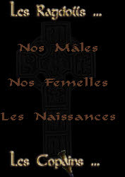 Les Copains ...